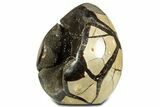 Polished Dragon Egg Septarian Geode - Free-Standing #344452-2